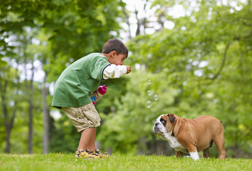 kid_playing_with_dog