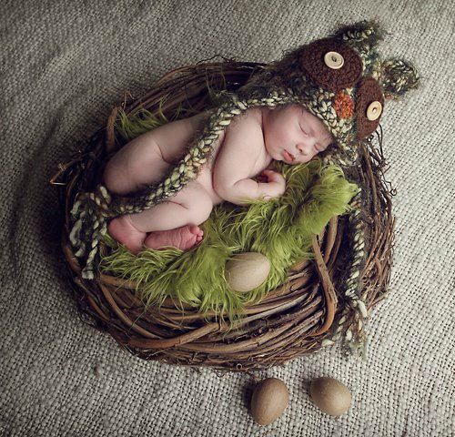 baby nest