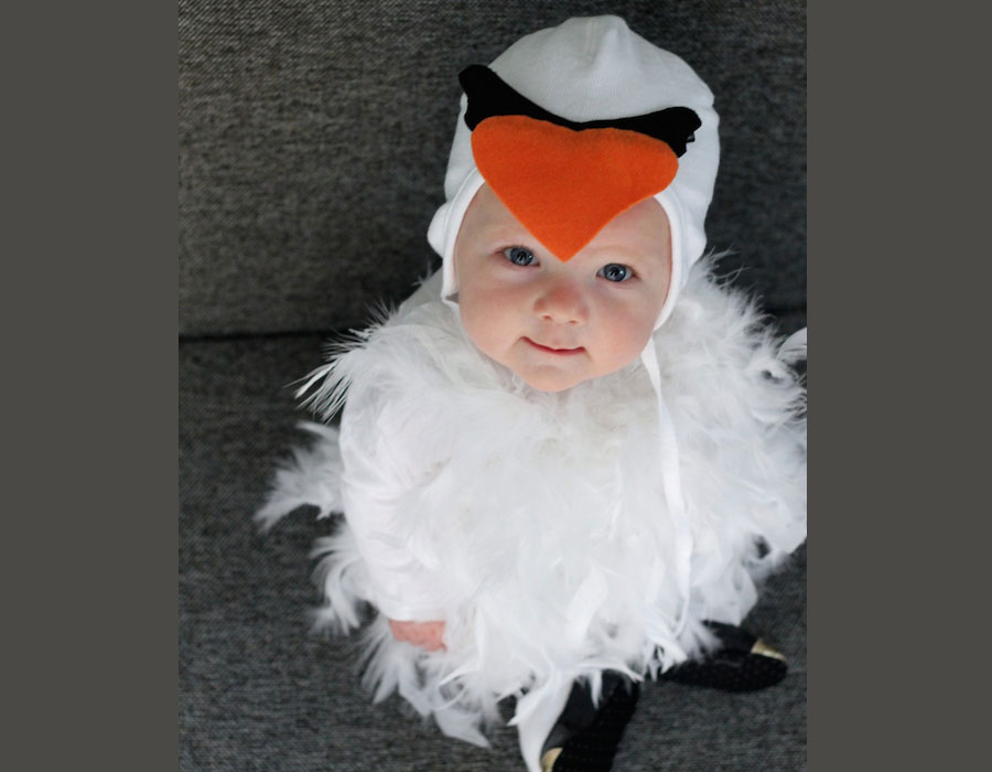 17+ Infant Halloween Costumes 6 Months PNG