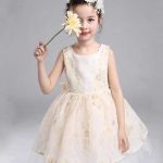 Surprise Your Little Angel With Her Angelic Kids Birthday Dress