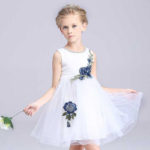 Is Apple Of Your Eye Turning A Year Older? – Baby Birthday Dresses Are Here